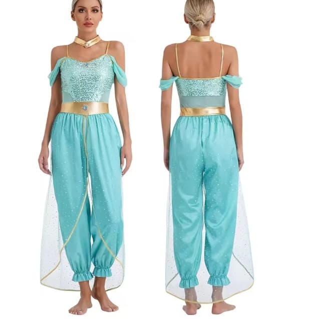 Belly Dance Performance Costume Princess Jasmine